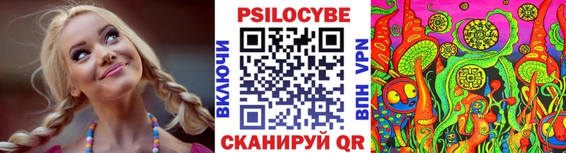 Галлюциногенные грибы Cubensis  маркетплейс состав  Сертолово  продажа наркотиков 